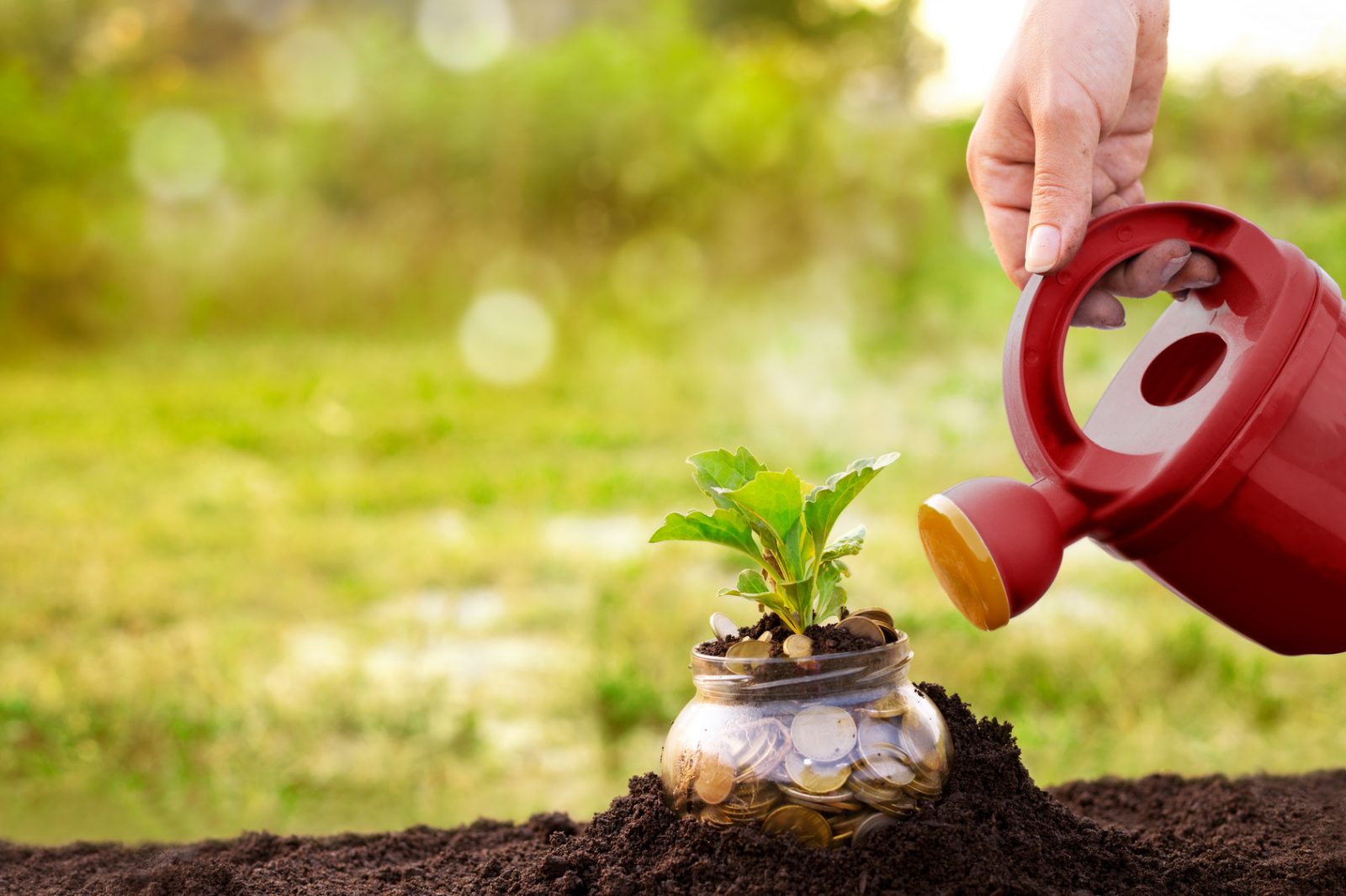 Savings and finances